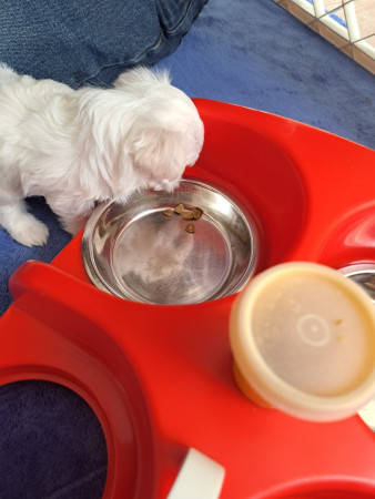 18-8-25 17.00 uur Giana